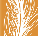 Novedades en los IMAS2011 7 arbolimas