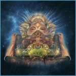 Se suman bandas al #VL17 4 14980701 1489942097688881 6951640142426728378 n