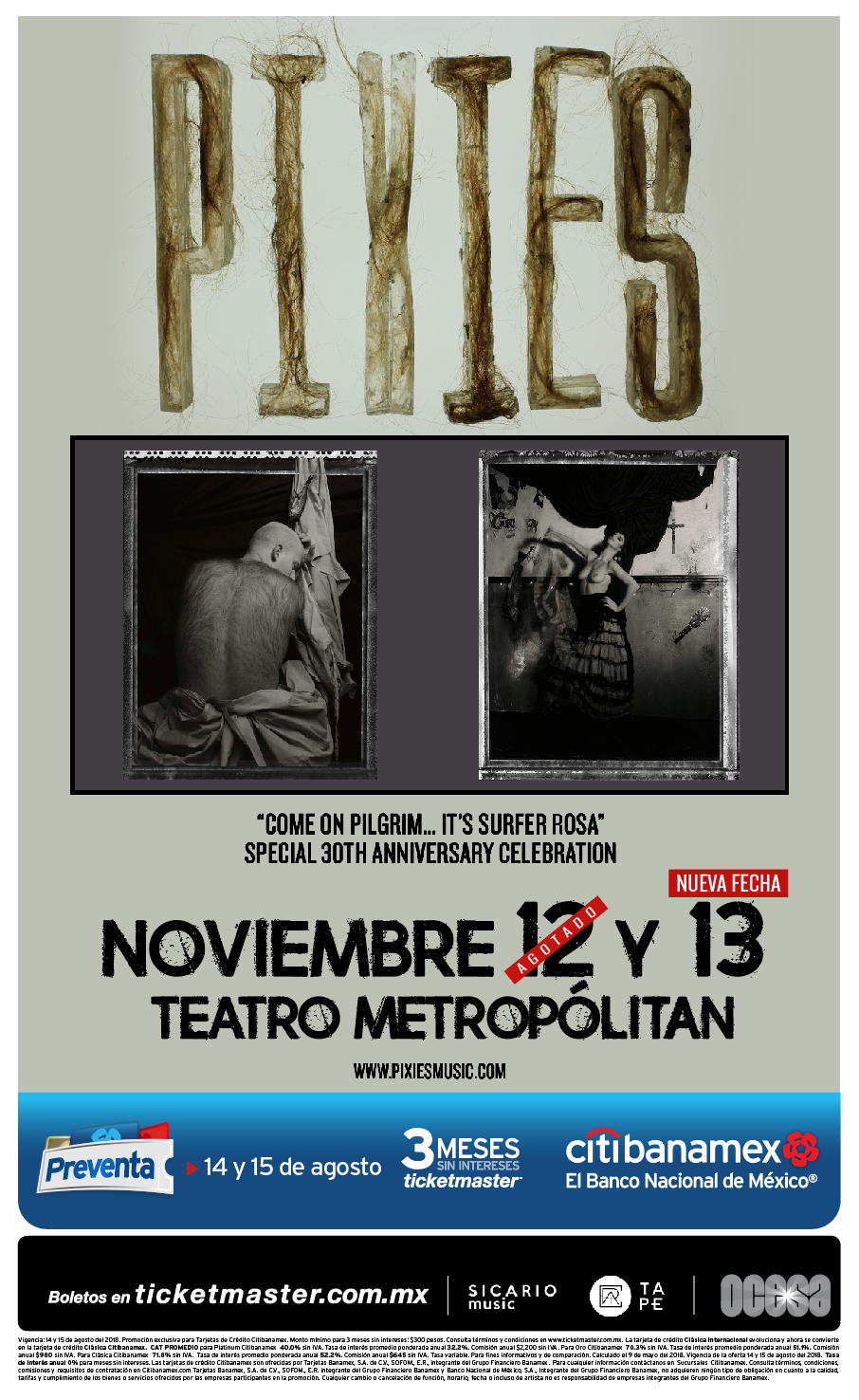 Pixies anuncian segunda fecha en CDMX 7 large ARTE PIXIES 2.jpg