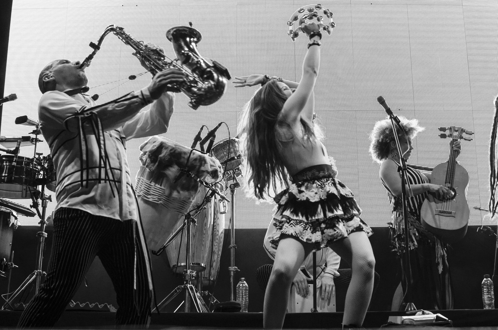 Monsieur Periné presentará su nuevo disco, Encanto Tropical, en la CDMX 4 Monseiur Periné 8