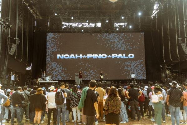 noah pino palo 3